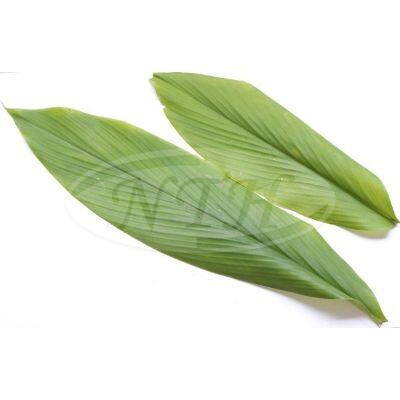 Turmeric Leaves/ Daun Kunyit